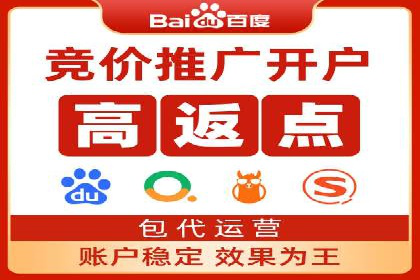 案例解析：百度推广排名提升的实战技巧